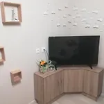 Central Apartment Daire