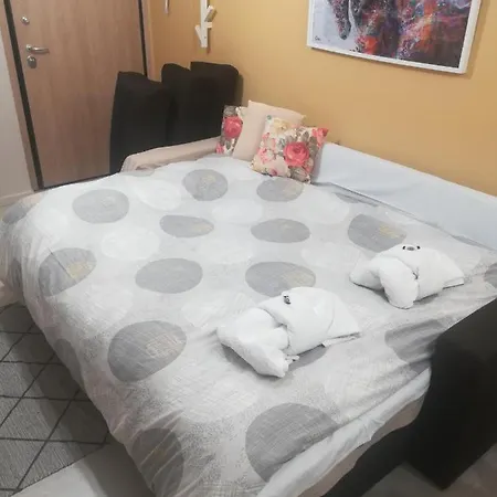 Central Apartment