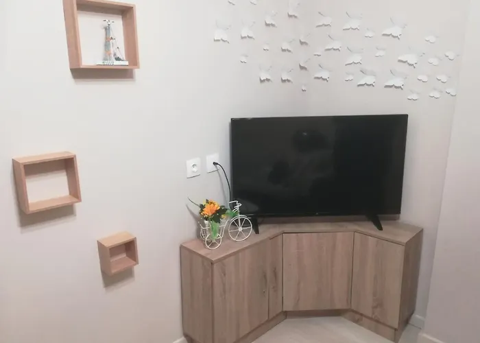 Central Apartment Apartamento